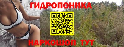 винт Славгород