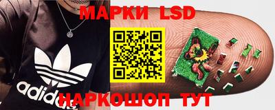 круглые Сланцы