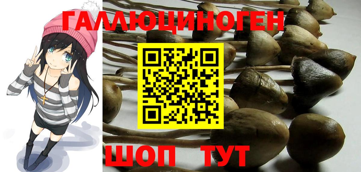 Псилоцибиновые грибы Psilocybe  Галлюциногенные грибы мицелий  Пенза  Вход с VPN 
