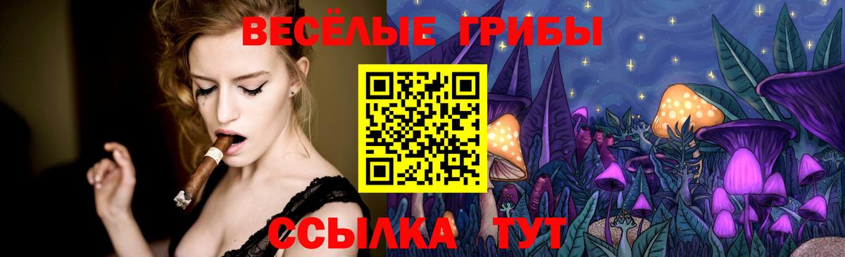 Галлюциногенные грибы Cubensis Пенза
